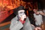 Thumbs/tn_Halloween in Madero 2018 012.jpg